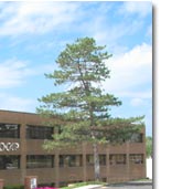 World Headquarters, St. Louis, MO USA